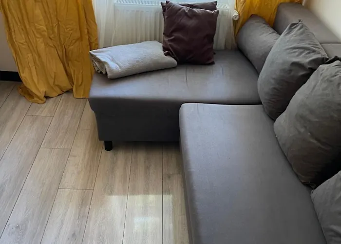 Center بيت شباب